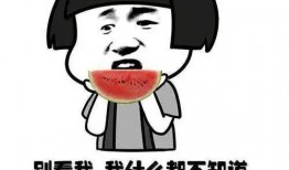 群众吃瓜道歉视频,反思网络舆论的力量