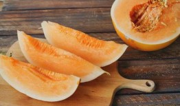 吃蜜瓜感觉特别辣,舌尖上的奇妙体验揭秘