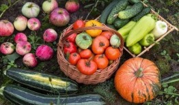 露露吃瓜,揭秘娱乐圈幕后故事