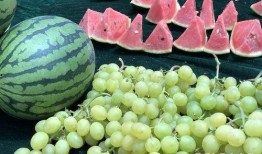 山东吃瓜最新视频,揭秘当地特色美食与风土人情