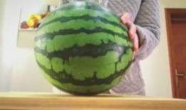 最喜欢吃瓜,揭秘我最爱的瓜类美食之旅