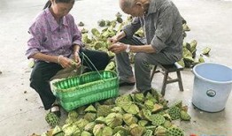 庆元吃瓜新闻,揭秘背后真相与网络舆论风暴