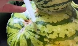 搞笑吃瓜动画视频,带你领略视觉盛宴