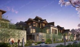 佛山泰禾院子物业吃瓜,吃瓜群众热议背后的真相