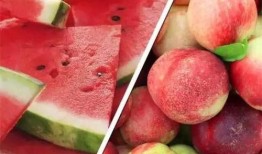 浦瓜不能和什么一起吃,揭秘不能与浦瓜同食的食物