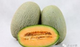 什么时间吃哈密瓜最好,揭秘哈密瓜的黄金食用时间