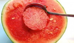 浦瓜不能和什么一起吃,揭秘不能与浦瓜同食的食物