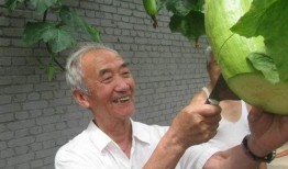 砍刀瓜怎么吃,解锁美味新体验