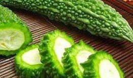 袁小姐的日常吃瓜,瓜田里的欢乐时光