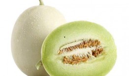 道具 狐狸吃瓜,瓜中藏秘密