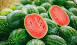 莱阳吃瓜传统,探寻千年吃瓜文化的传承与创新