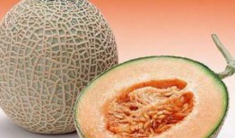 哈密瓜蒸着吃寒性大吗,温润之果的食用奥秘