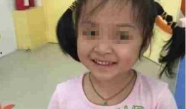 秃崽吃瓜事件,网络舆论的狂欢与反思