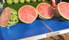 鲁山衣服店吃瓜,吃瓜群众变身时尚达人