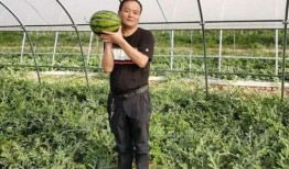 永寿吃瓜视频,揭秘当地特色美食背后的故事