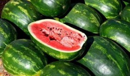 郑食吃瓜,揭秘郑州美食圈的那些事儿