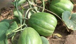 绝佳吃瓜位,一窥娱乐圈幕后风云