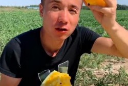 吃瓜很爽后续,揭秘娱乐圈背后的秘密与真相