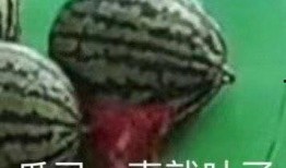 你别吃瓜了,揭开网络谣言的真相与应对策略