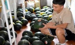 吃瓜宿舍上铺,揭秘上铺的神秘生活