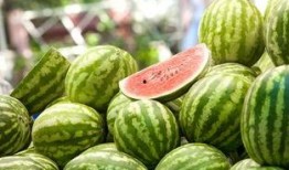 鲁山衣服店吃瓜,吃瓜群众变身时尚达人