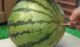 山东吃瓜最新视频,揭秘当地特色美食与风土人情