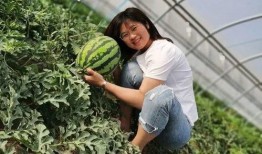 永寿吃瓜视频,揭秘当地特色美食背后的故事