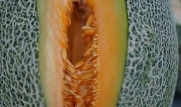 玖久吃瓜,揭秘娱乐圈幕后故事