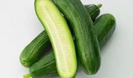 小脆瓜是乳瓜吗怎么吃,乳瓜的别称，美味吃法大揭秘