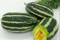 莱阳金海洋吃瓜,瓜果飘香，品味田园生活新篇章