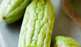 莱阳金海洋吃瓜,瓜果飘香，品味田园生活新篇章