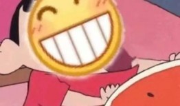 吃瓜表情抱枕,吃瓜表情抱枕，萌趣生活新选择