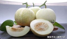 吃矮瓜会贫血,过量食用可能导致贫血风险