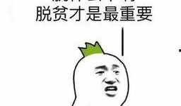 吃瓜群众吃不过来图片,吃瓜群众眼花缭乱的视觉盛宴