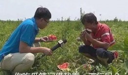 念书吃瓜,品味书香与瓜趣