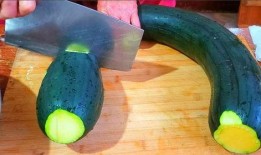 莱阳吃瓜传统,探寻千年吃瓜文化的传承与创新