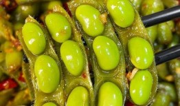 小瓜吃豆,趣味横生的冒险之旅