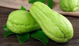 相州吃瓜,探寻古韵今风中的美食传奇