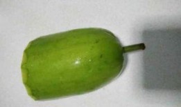 浦瓜不能和什么一起吃,揭秘不能与浦瓜同食的食物