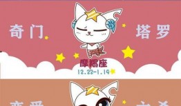 吃瓜星小白,揭秘娱乐圈那些不为人知的幕后故事