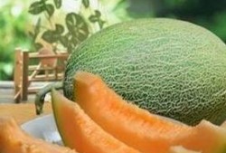 什么时间吃哈密瓜最好,揭秘哈密瓜的黄金食用时间