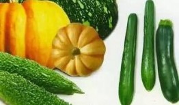 jenny的吃瓜,揭秘娱乐圈那些事儿