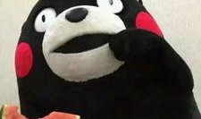 狗头小迷妹吃瓜,揭秘娱乐圈幕后真相