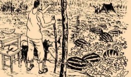 吃瓜得瓜的民间故事,民间故事中的智慧与启示