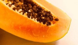 雷州同城吃瓜,吃瓜群众的热议焦点