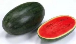 花皮瓜不甜怎么吃,花皮瓜不甜的创意食用方法探索