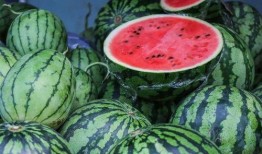 夏天吃瓜了吗,吃瓜了吗？