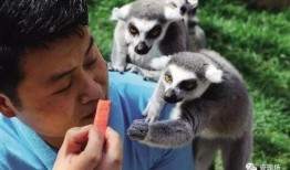 什么动物吃瓜米,鸟类餐桌上的美味诱惑