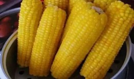 吃玉米瓜甜视频,揭秘甜蜜背后的种植奥秘