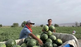 今日吃瓜每日吃瓜,揭秘娱乐圈最新热点事件